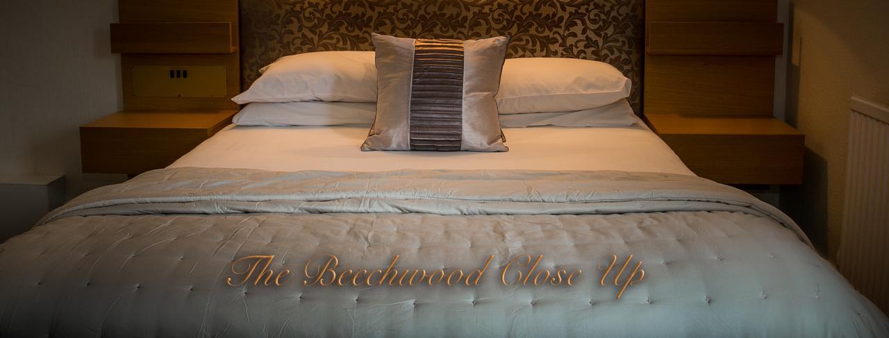 Beechwood Close York Kültér fotó